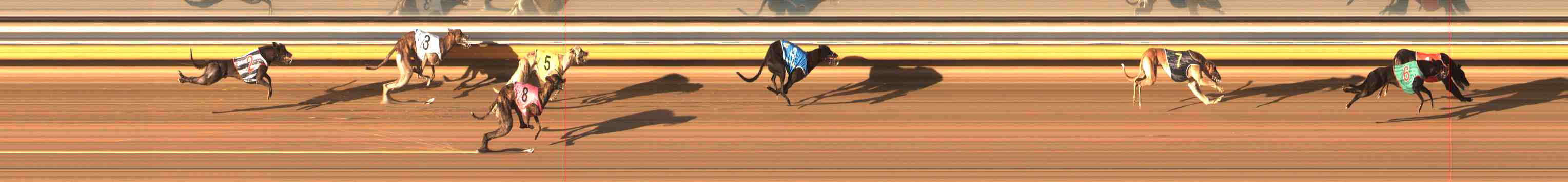 Photo finish for Warrnambool Race 2