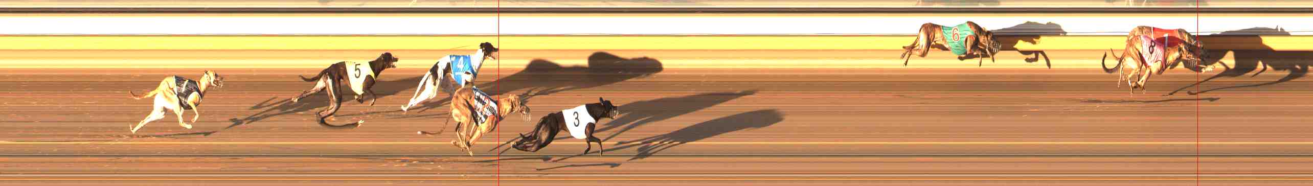 Photo finish for Warrnambool Race 3