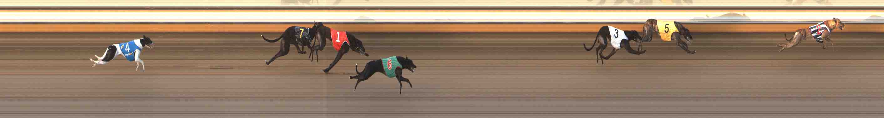 Photo finish for Warrnambool Race 4
