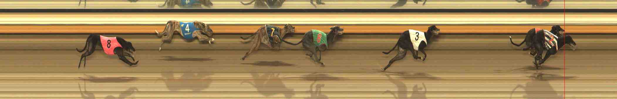 Photo finish for Warrnambool Race 6