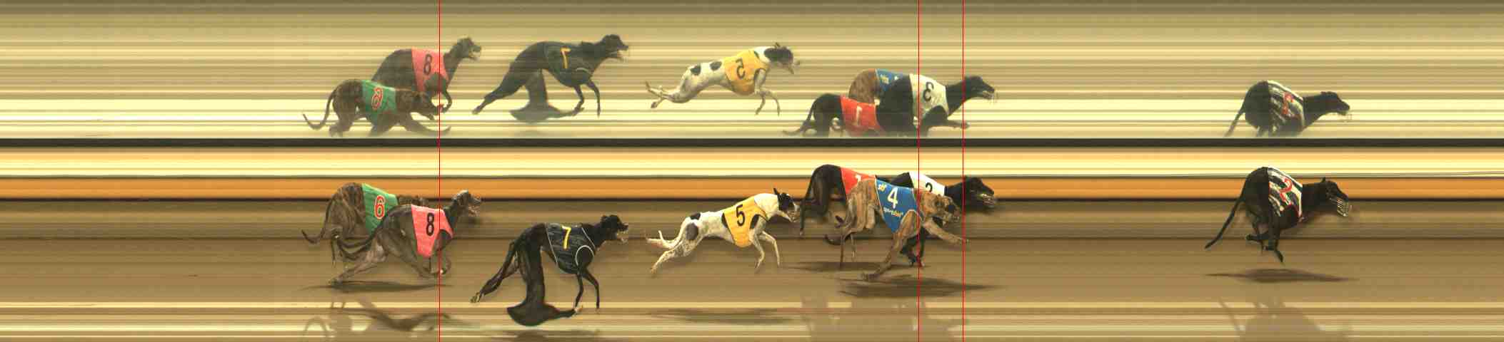 Photo finish for Warrnambool Race 7