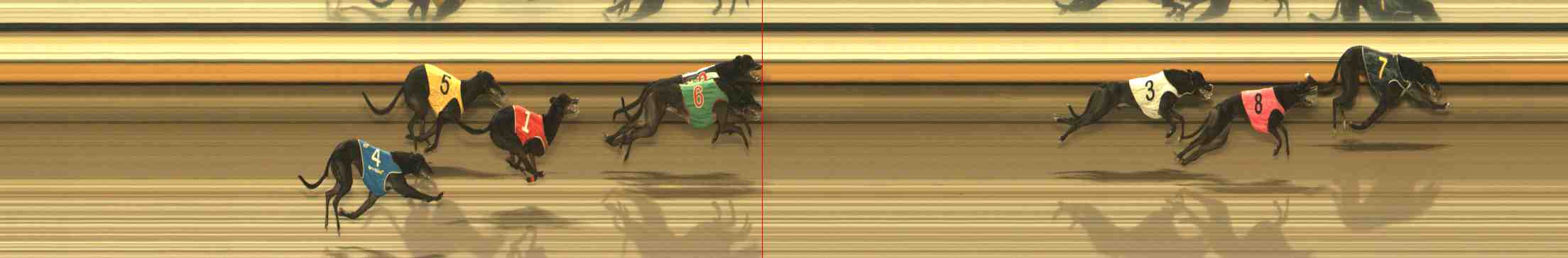 Photo finish for Warrnambool Race 8