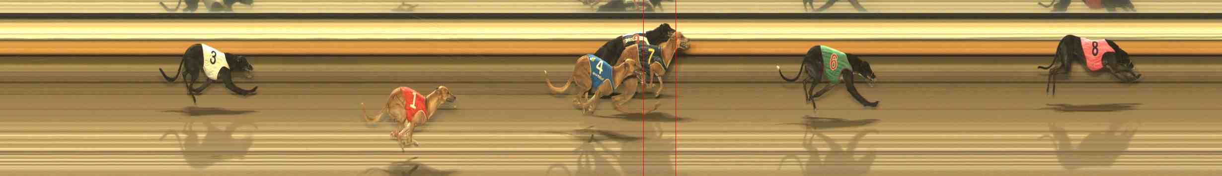 Photo finish for Warrnambool Race 9