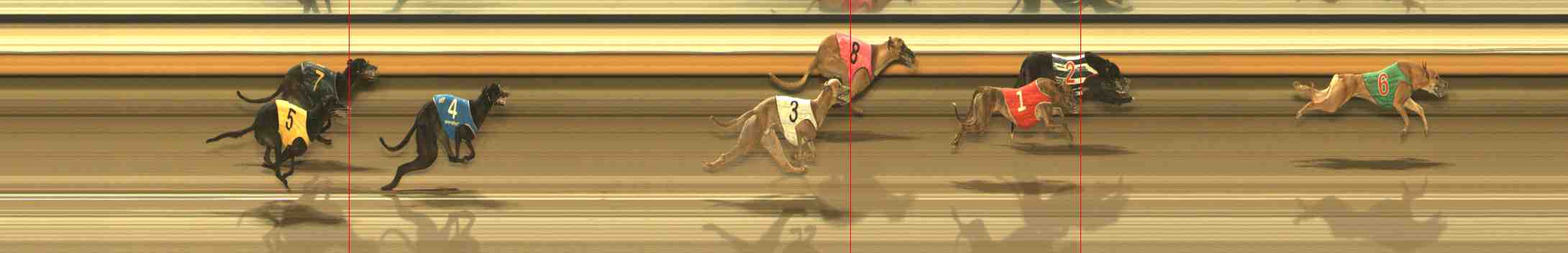 Photo finish for Warrnambool Race 10