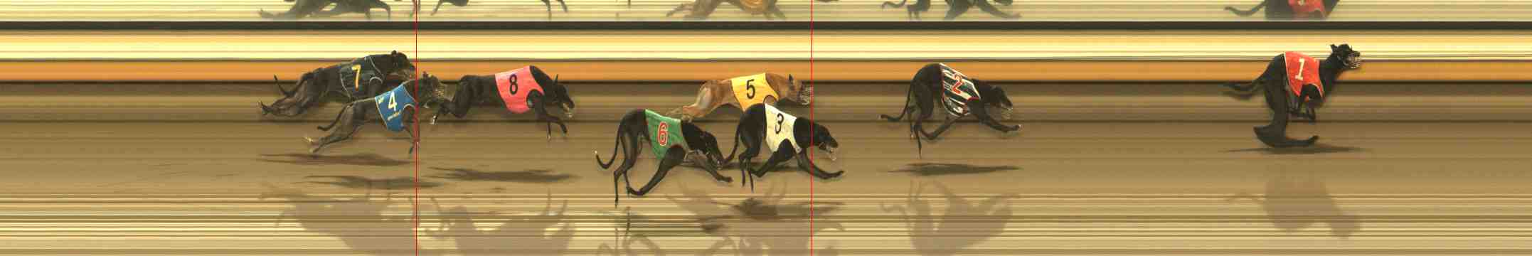 Photo finish for Warrnambool Race 11