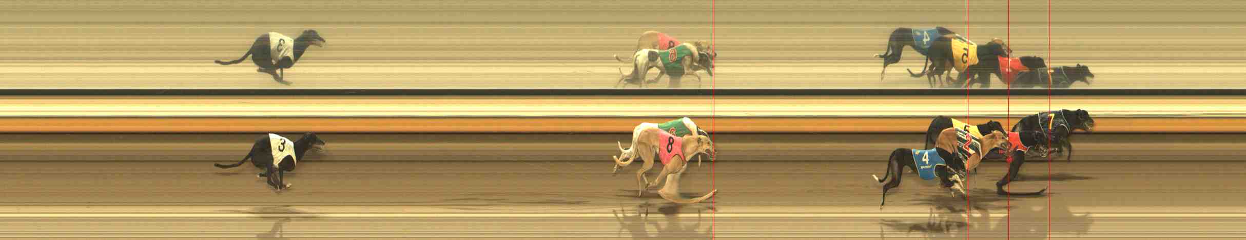Photo finish for Warrnambool Race 12