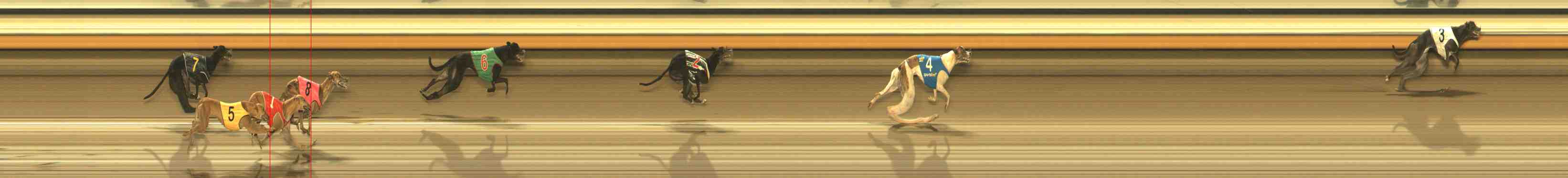 Photo finish for Warrnambool Race 13