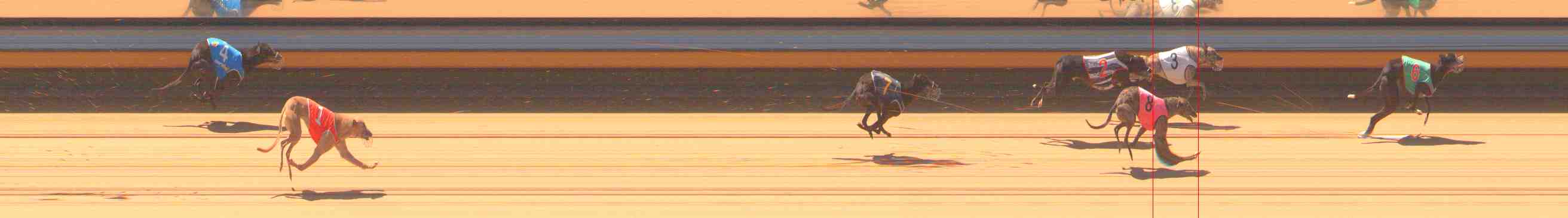 Photo finish for Warrnambool Race 1