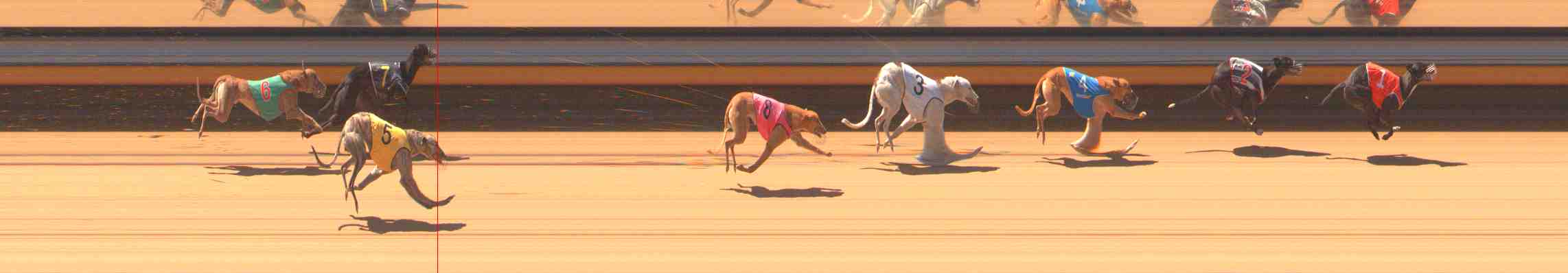 Photo finish for Warrnambool Race 2