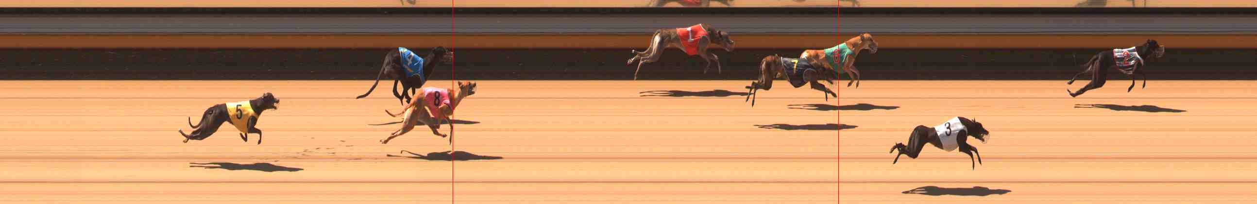 Photo finish for Warrnambool Race 3