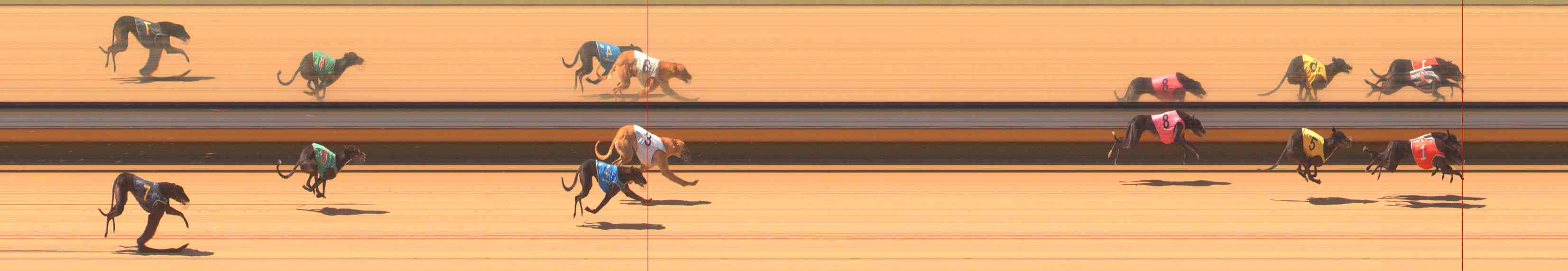 Photo finish for Warrnambool Race 4