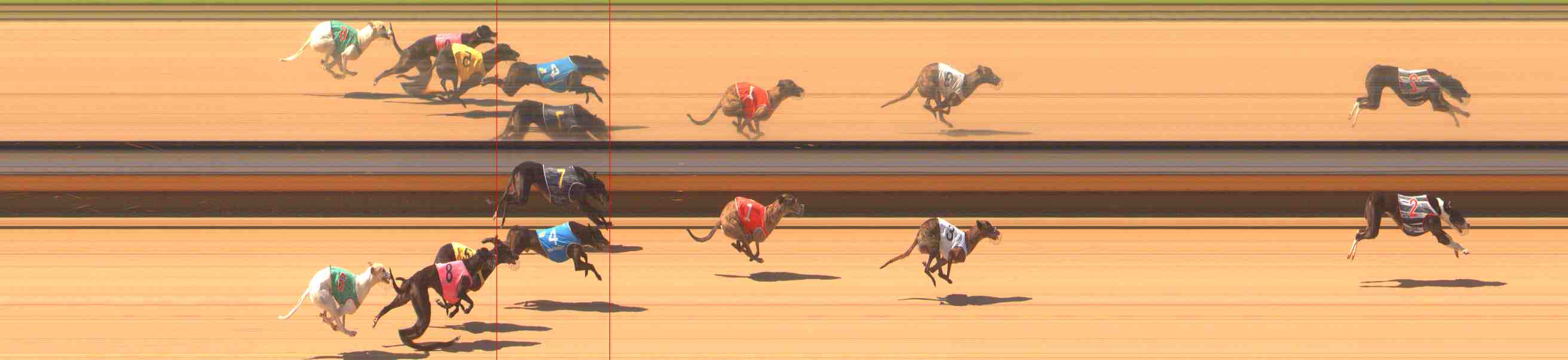 Photo finish for Warrnambool Race 5
