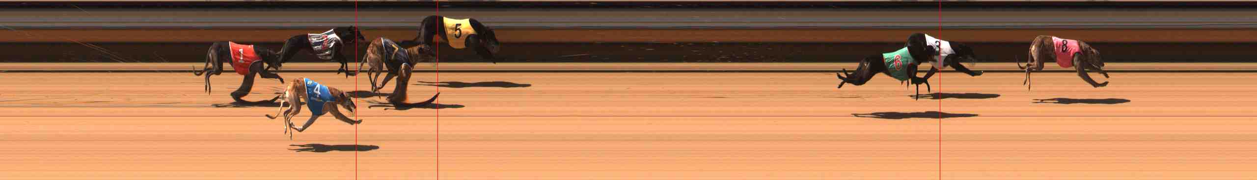 Photo finish for Warrnambool Race 6