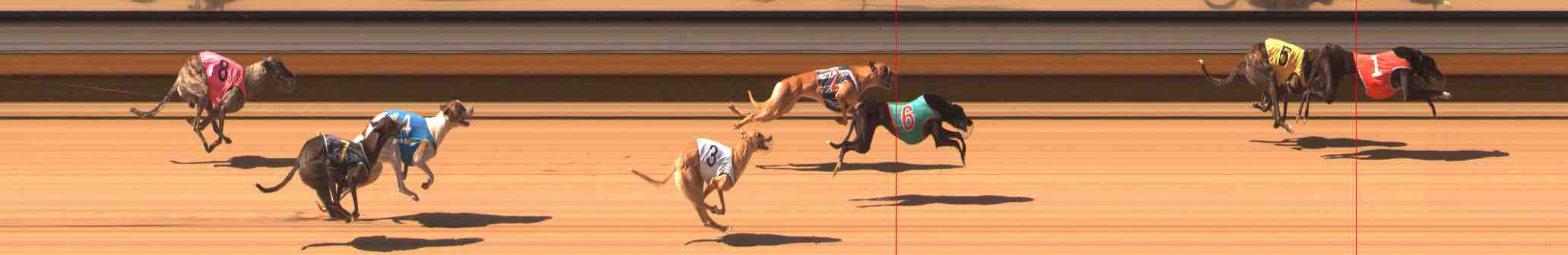 Photo finish for Warrnambool Race 7
