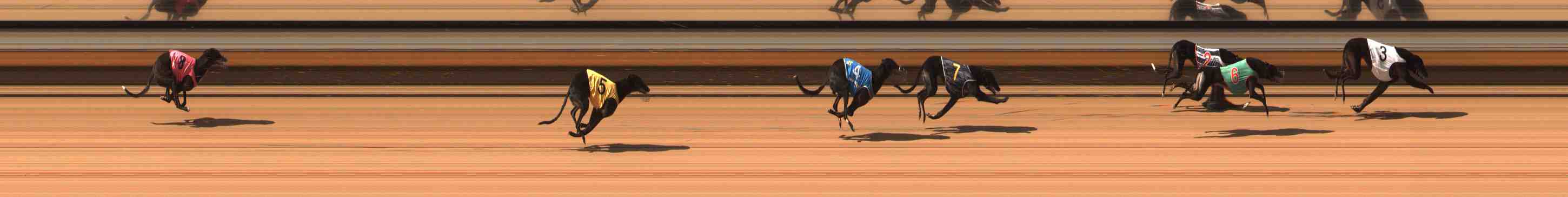 Photo finish for Warrnambool Race 8