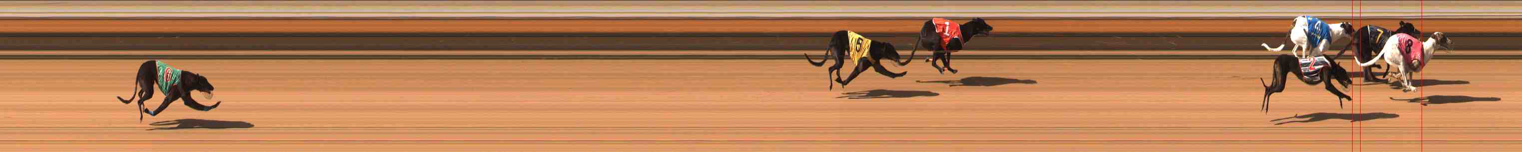 Photo finish for Warrnambool Race 9