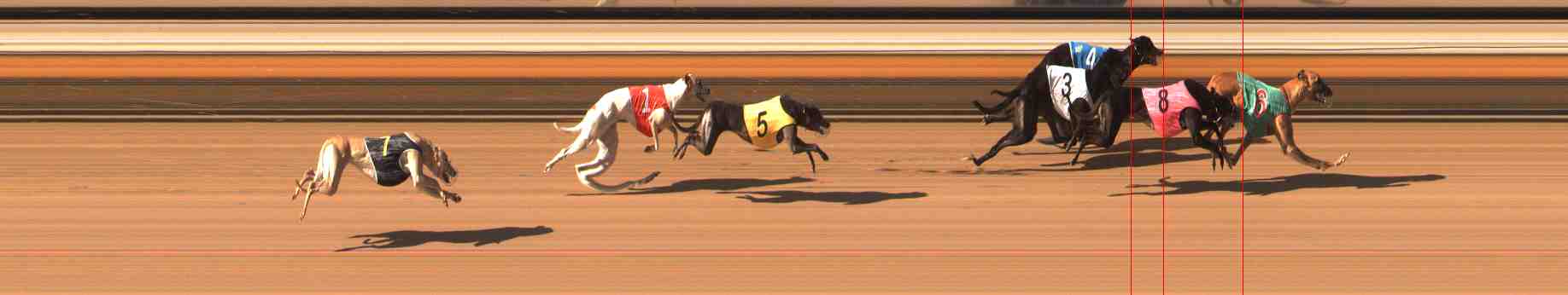 Photo finish for Warrnambool Race 10