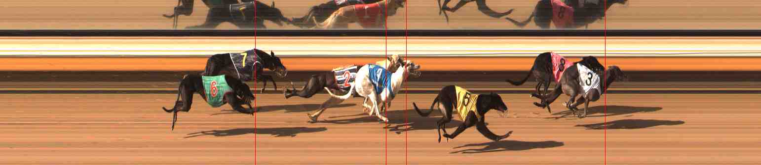 Photo finish for Warrnambool Race 11