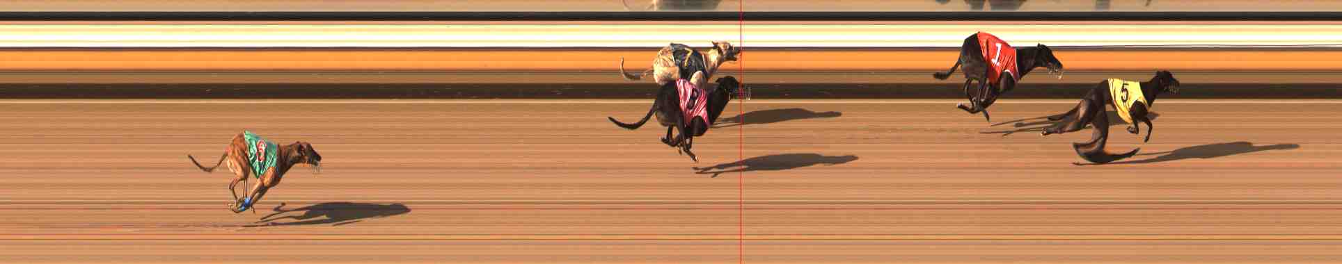 Photo finish for Warrnambool Race 12
