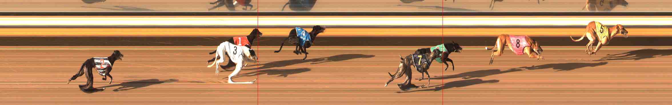 Photo finish for Warrnambool Race 13