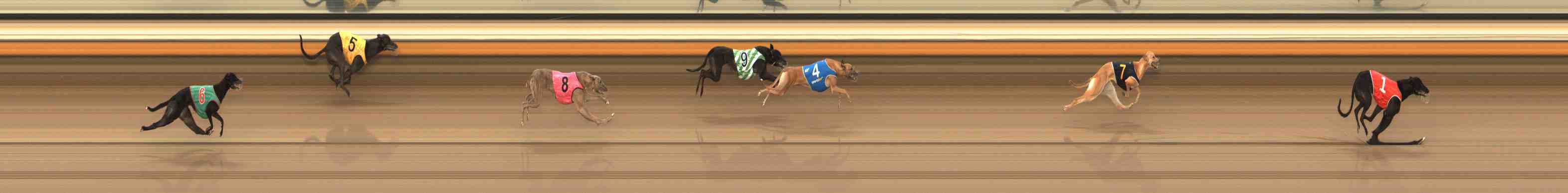 Photo finish for Warrnambool Race 1
