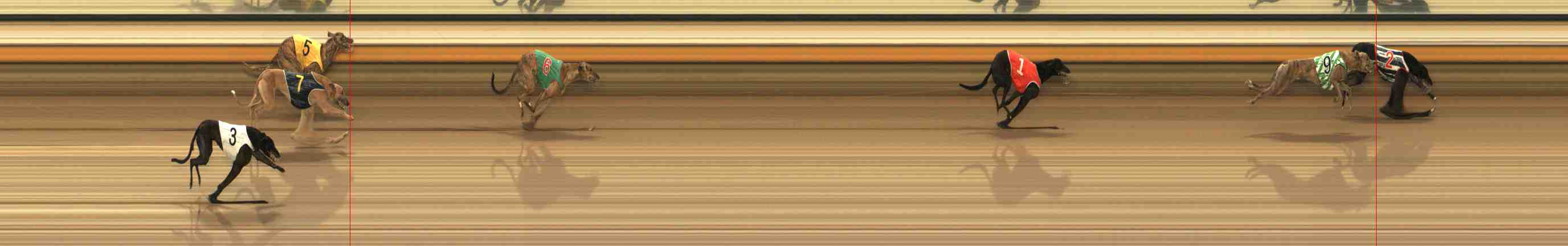 Photo finish for Warrnambool Race 2