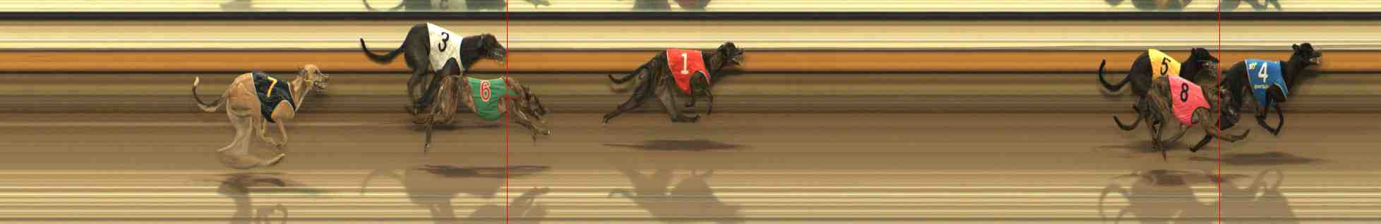 Photo finish for Warrnambool Race 3