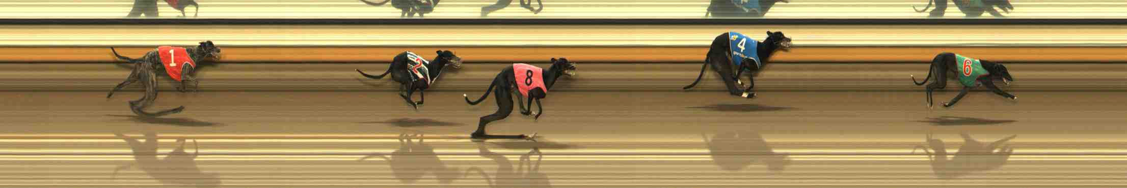 Photo finish for Warrnambool Race 4