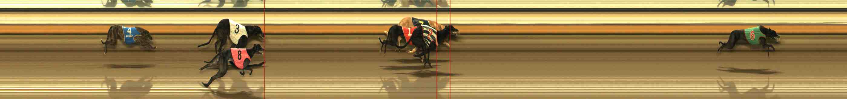 Photo finish for Warrnambool Race 5
