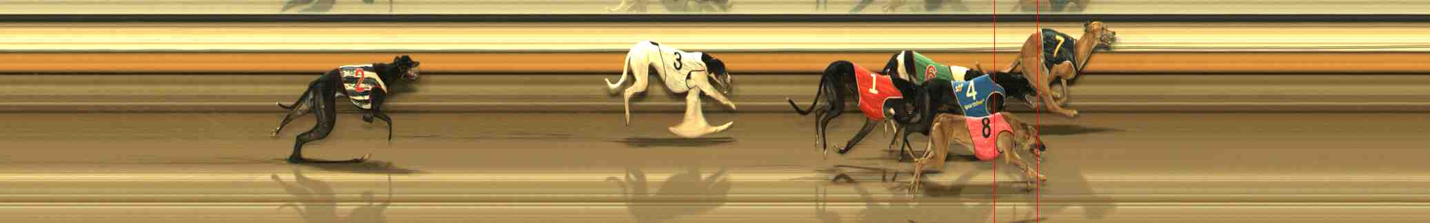 Photo finish for Warrnambool Race 6