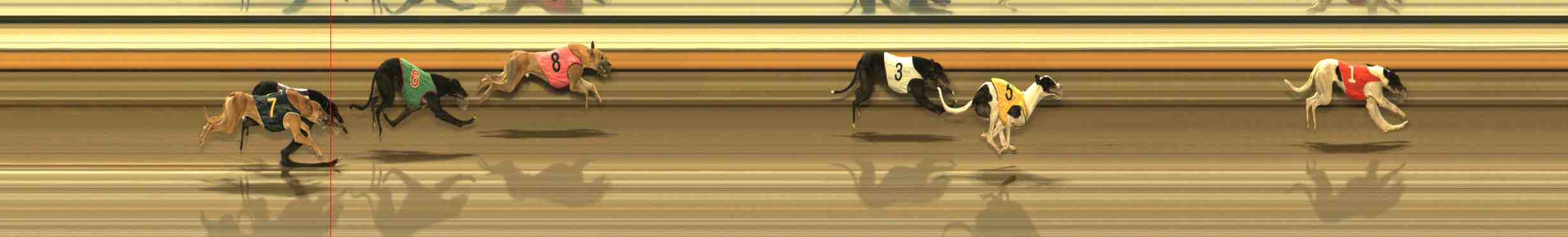 Photo finish for Warrnambool Race 7