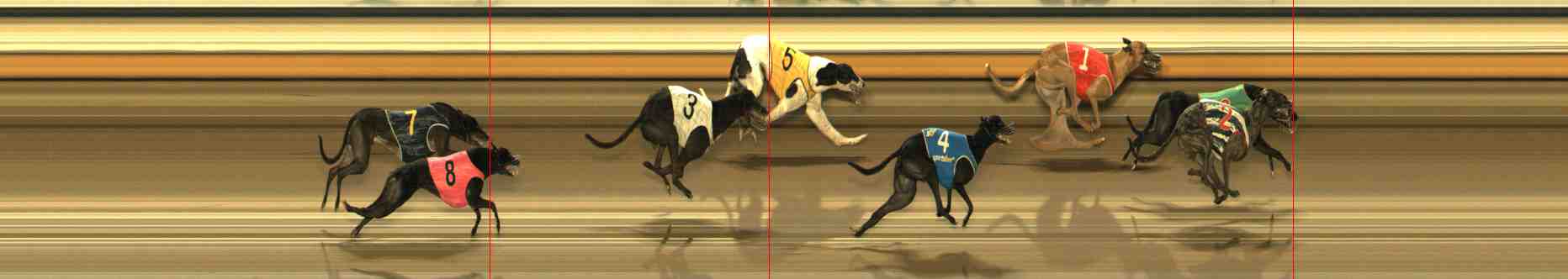 Photo finish for Warrnambool Race 8