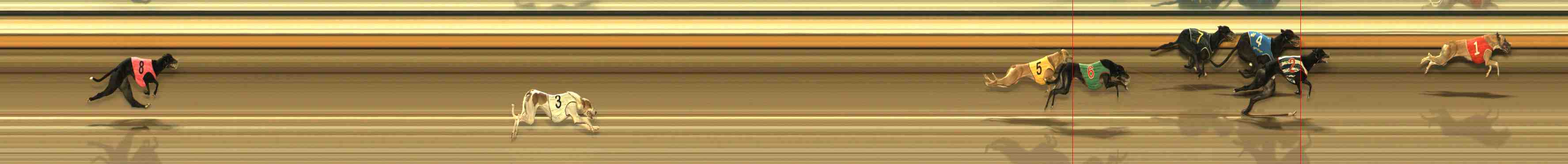 Photo finish for Warrnambool Race 9