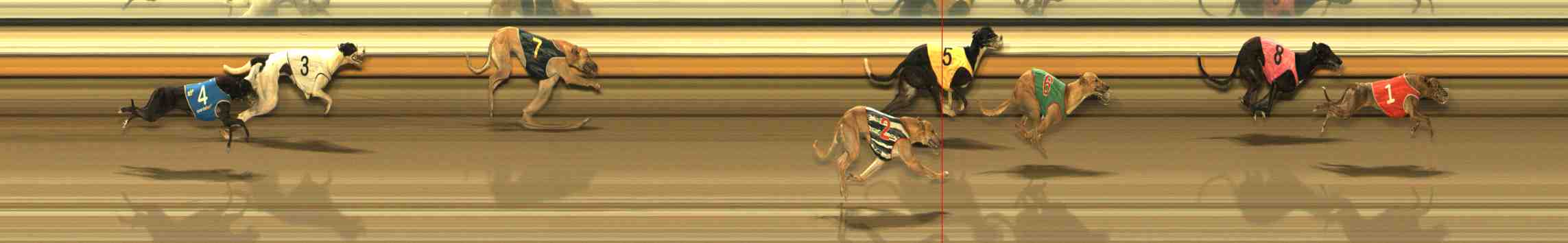 Photo finish for Warrnambool Race 10