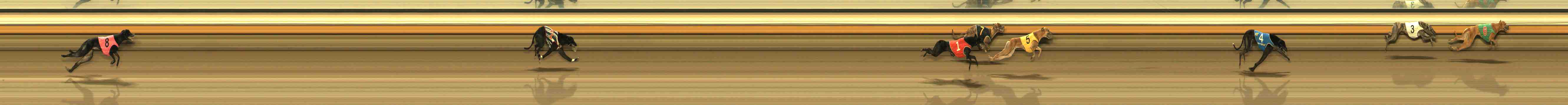 Photo finish for Warrnambool Race 11