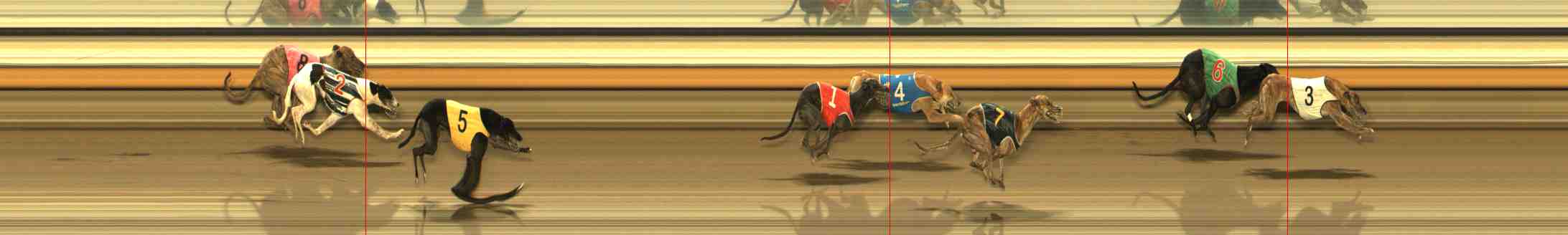 Photo finish for Warrnambool Race 12