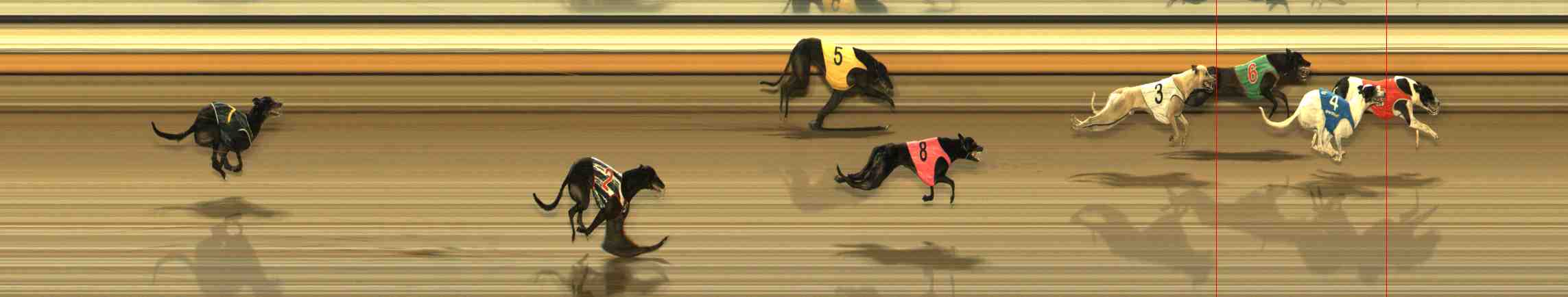 Photo finish for Warrnambool Race 13