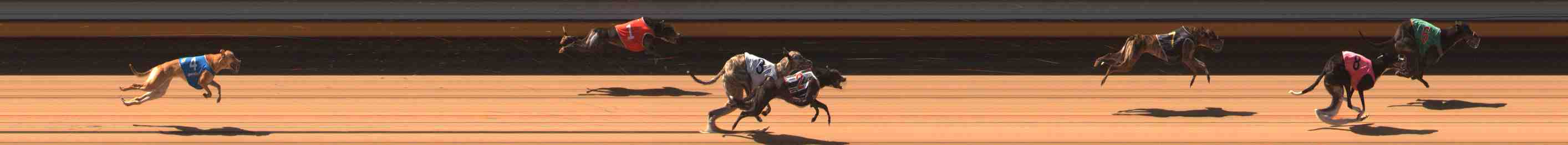 Photo finish for Warrnambool Race 1