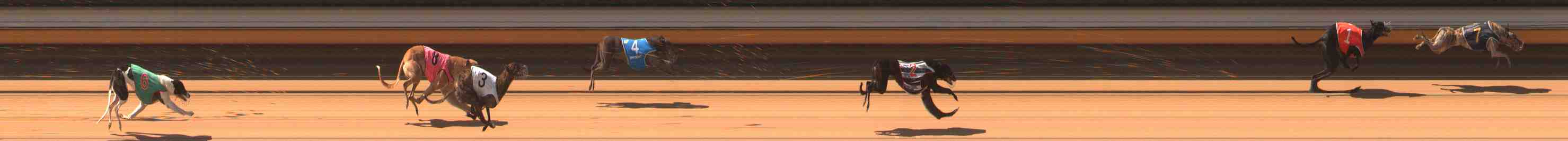 Photo finish for Warrnambool Race 2