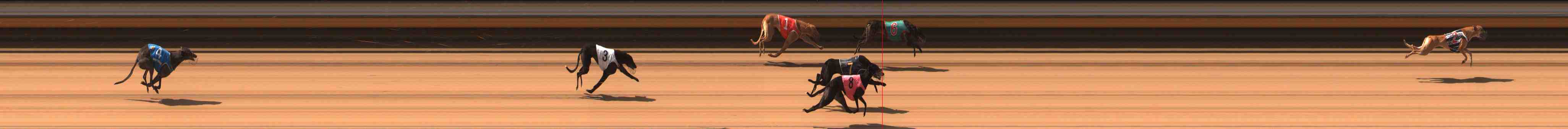 Photo finish for Warrnambool Race 3