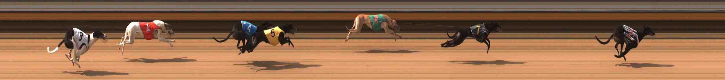 Photo finish for Warrnambool Race 4