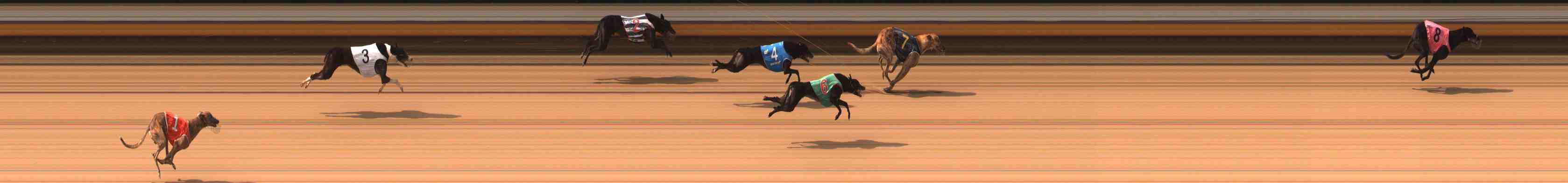 Photo finish for Warrnambool Race 5
