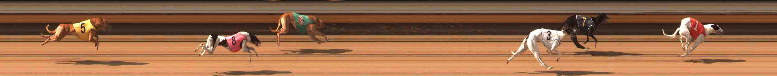 Photo finish for Warrnambool Race 6