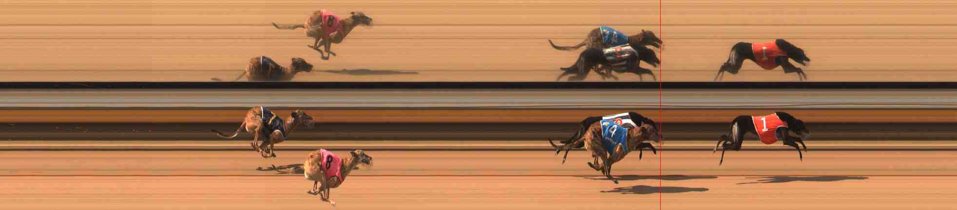 Photo finish for Warrnambool Race 7