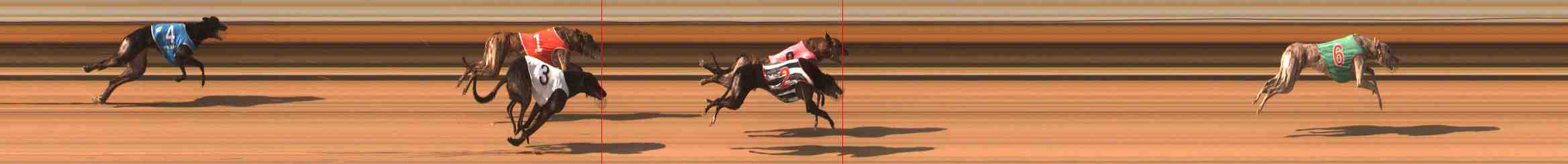 Photo finish for Warrnambool Race 8