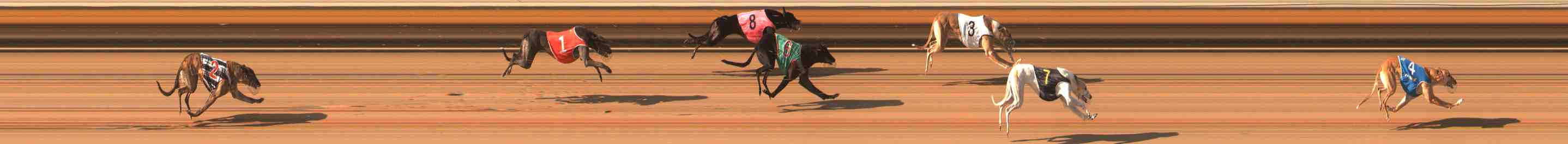 Photo finish for Warrnambool Race 9