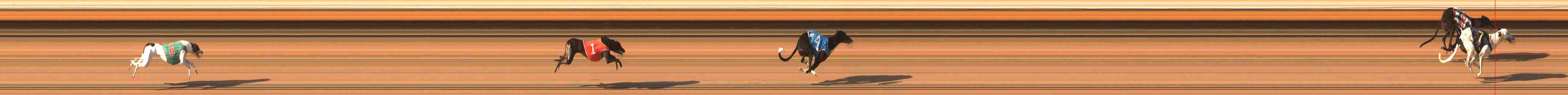 Photo finish for Warrnambool Race 10