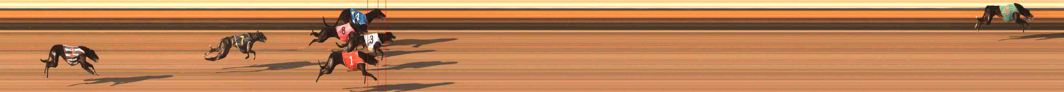 Photo finish for Warrnambool Race 11