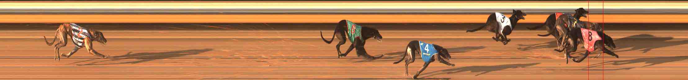 Photo finish for Warrnambool Race 12