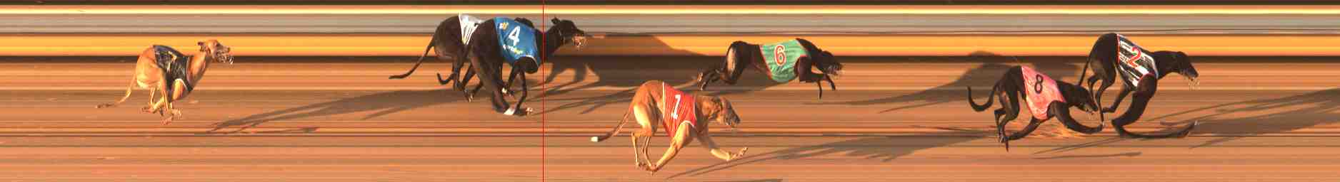 Photo finish for Warrnambool Race 13